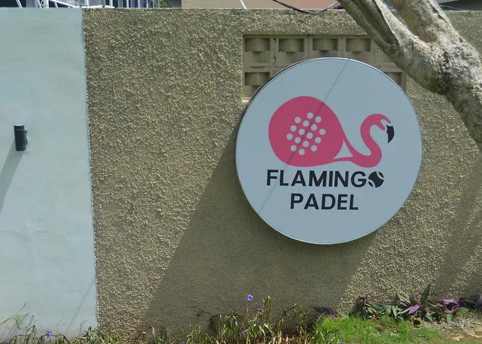 Flamingo Aquila